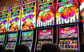 pdgbet com